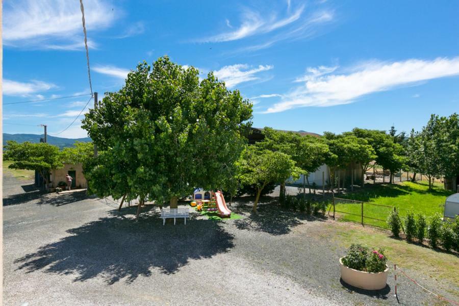 Agriturismo Case Nuove Castellina Marittima Exterior photo